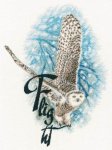 (image for) Flight Counted cross Stitch Kit